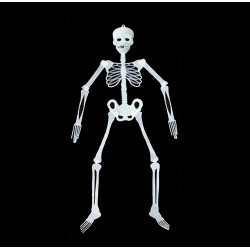 Colgante Esqueleto Fluorescente, 90 cm