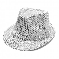 Sombrero de lentejuelas plata