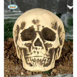 Cráneo Decorativo de Poliespán