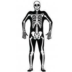 Skeleton Adulto