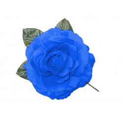 Rosa Grande Azul