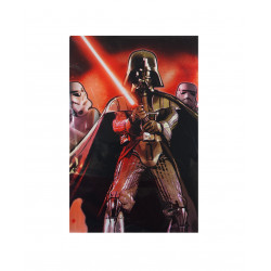 Mantel Star Wars, 120x180cms
