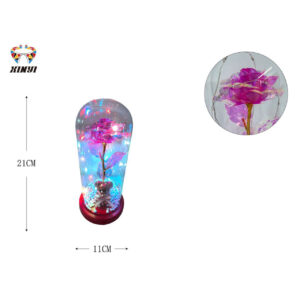 Cúpula De Flor Eterna Con Luz Led