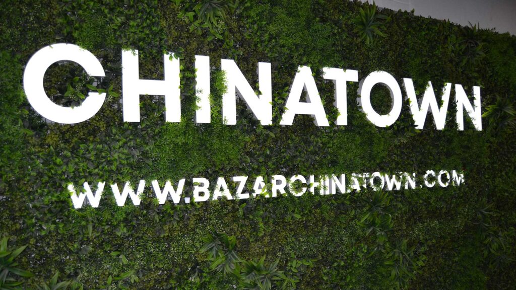 letrero-bazar-chinatown-armentia-online-vitoria-gasteiz
