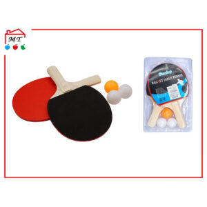 Paleta Ping Pong Y Pelota